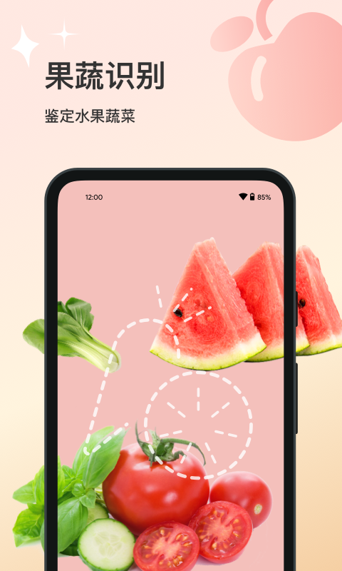 花卉识别截图