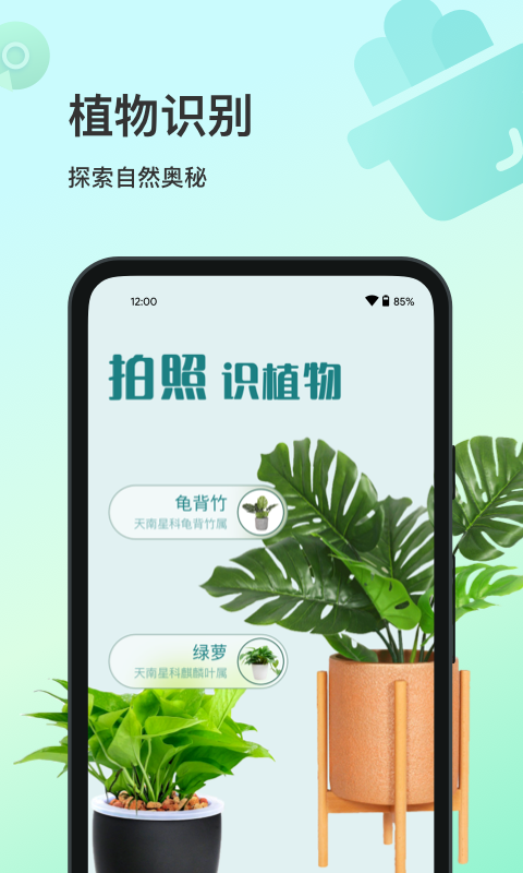 花卉识别截图