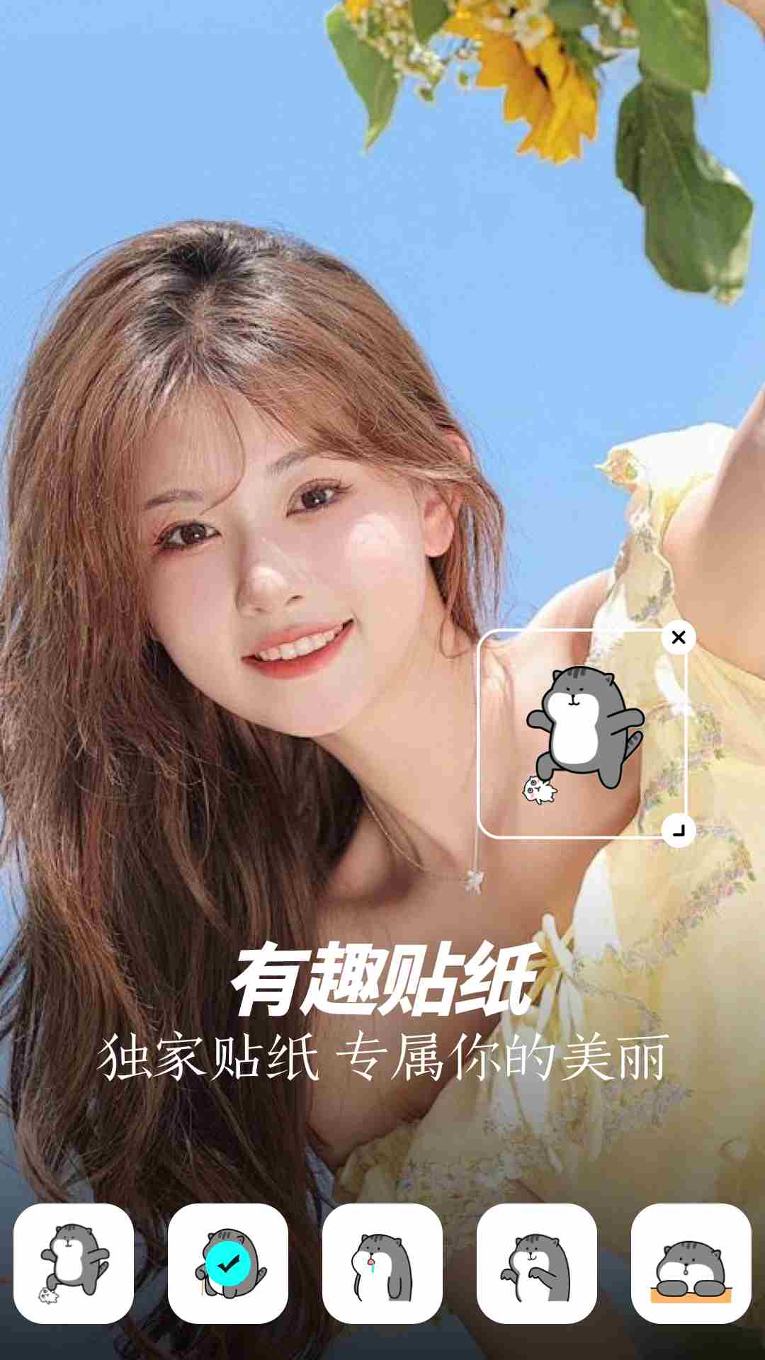 相片大师截图