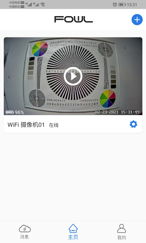 FOWL截图