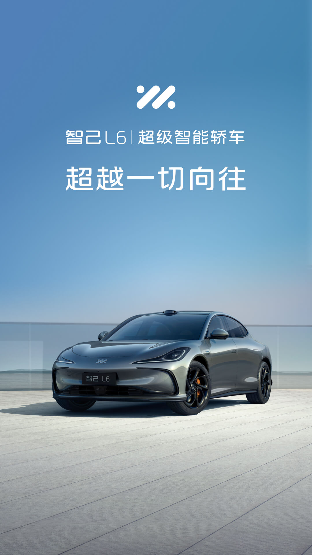 IM 智己截图