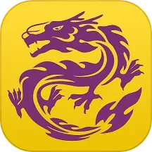 紫龙咨询