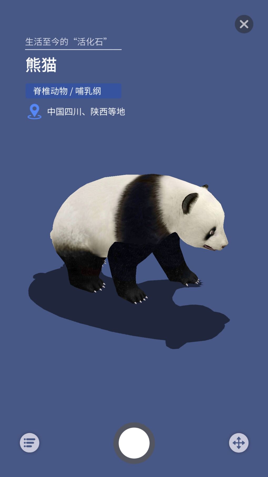 大眼探世界截图