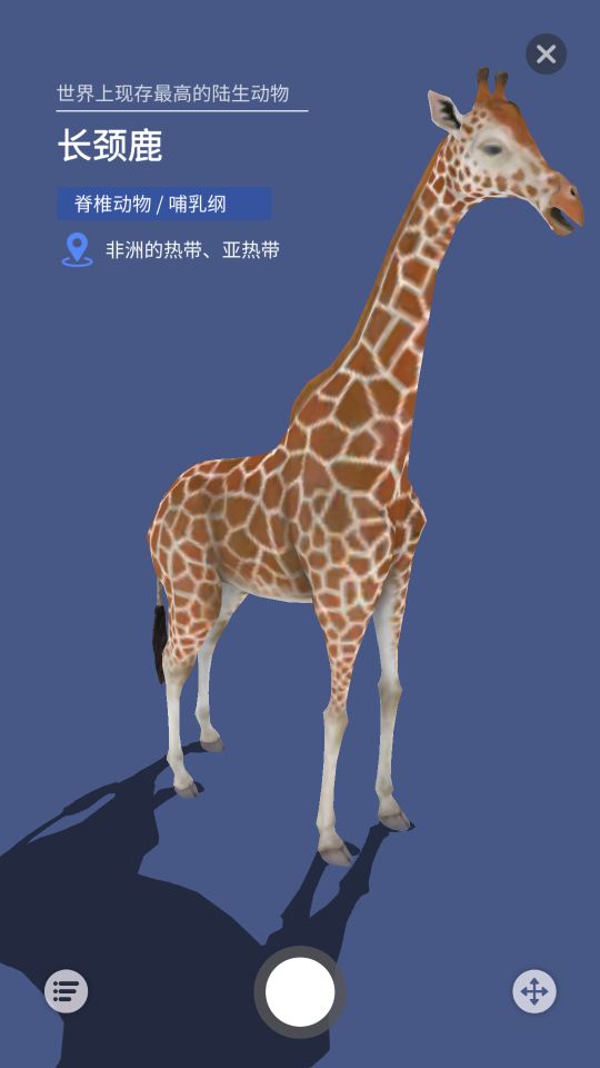 大眼探世界截图