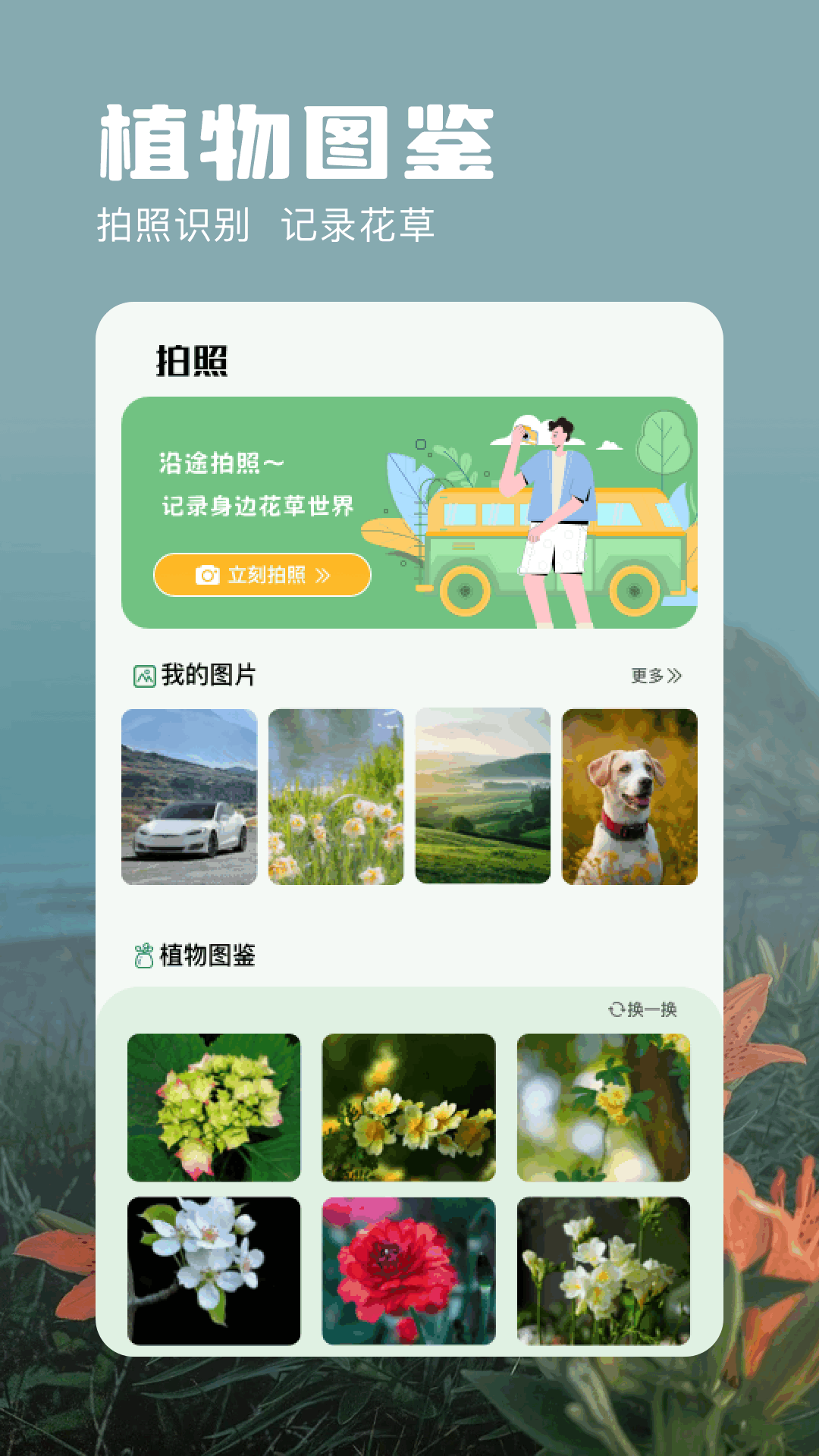 万能识别截图
